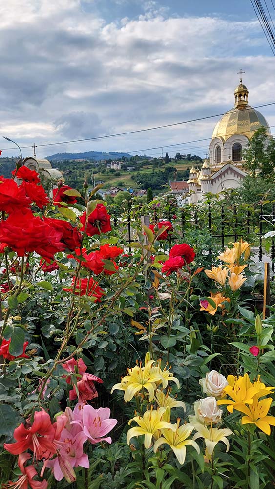  Flower estate